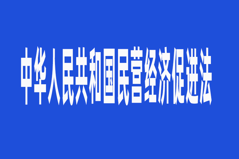 中華人民共和國民營經(jīng)濟(jì)促進(jìn)法